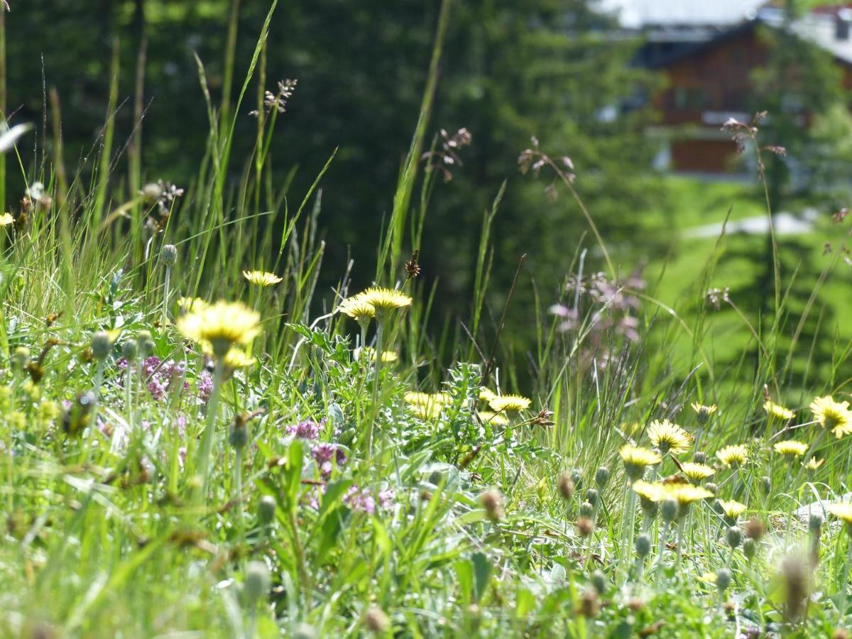 Alpinresortmontafon Garni Gargellen Ngoại thất bức ảnh